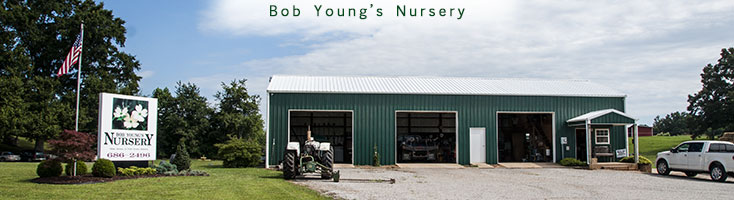 Bob Young S Nursery