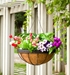 Arcadia Garden Products -- garden accessories - 