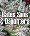 Bates Sons & Daughters (Caladiums)  - 