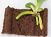 Grow-Tech:  FlexiTrays® & FlexiPlugs® - 