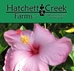 Hatchett Creek Farm - 