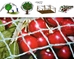 Tree World (Plantskydd):  Plant Care Products - 