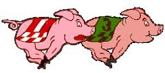 July 21 (Sun) - Cecil County Fair Running with the Pigs 5K Walk/Run  
