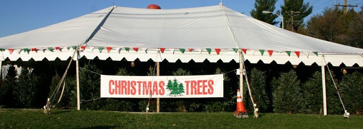 Mile High Tree Farm - Mile High Tree Farm