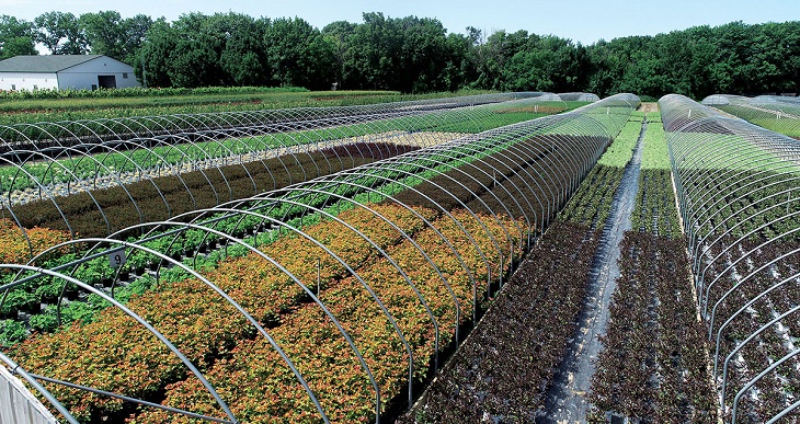 JC Bakker & Sons Nurseries