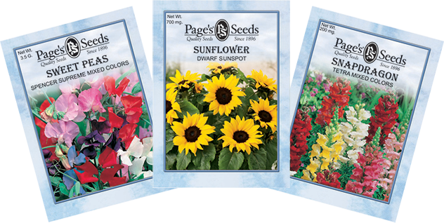Page Seed Company