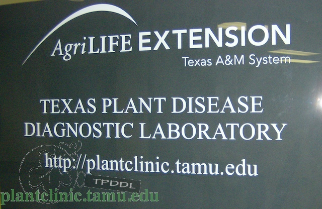 Texas A&M - Plant Disease Diagnositic Laboratory