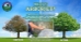 Arborjet - Tree Injection Technology - 