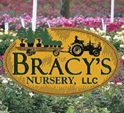 Bracys Nursery, LLC  