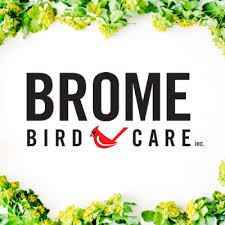 Brome Bird Care -- Wild Bird Feeders (SquirrelBuster) 