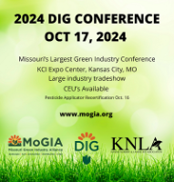 BWI @ D.I.G. Conference 