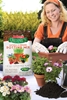 Jobe's® Organics Fertilizer products - 