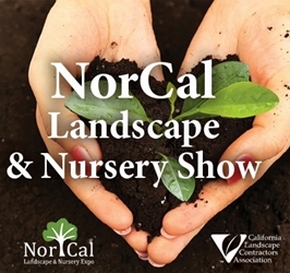 Loda @ Nor Cal Show 