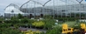 Harnois Greenhouses:  Luminosa Greenhouse Series - 