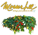 Mosser Lee:  Long-Fibered Sphagnum Moss 