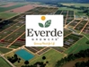 *Everde Growers:<br>formerly TreeTown USA -- Village Nurseries/Hines Growers - 