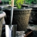 Western Pulp Products -- Premium Quality Containers - 