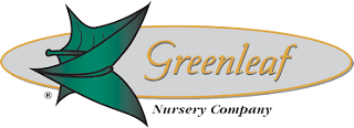 Greenleaf Nursery Company 