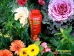 Dynamite Plant Food -- Black Gold EnviroSafe - 