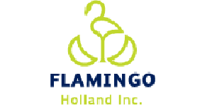 Flamingo Holland