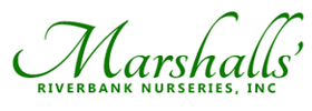 Marshalls' Riverbank Nurseries