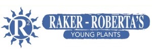 Raker-Roberta's Young Plants