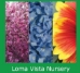 Loma Vista Nursery  -- Olathe, KS - 