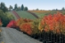 Sester Farms: Event Profile / Showcase - 