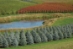 Sester Farms: Event Profile / Showcase - 